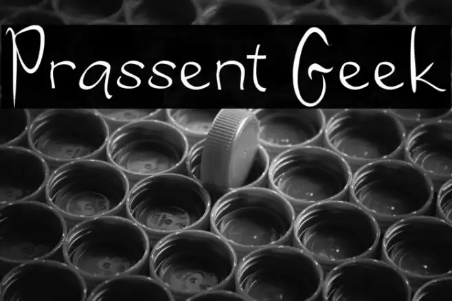 Prassent Geek Font examples
