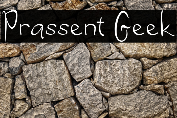 Prassent Geek Example 3