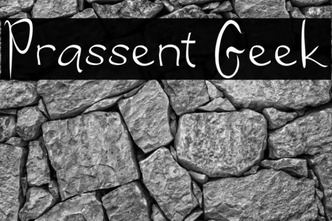 Prassent Geek Font examples