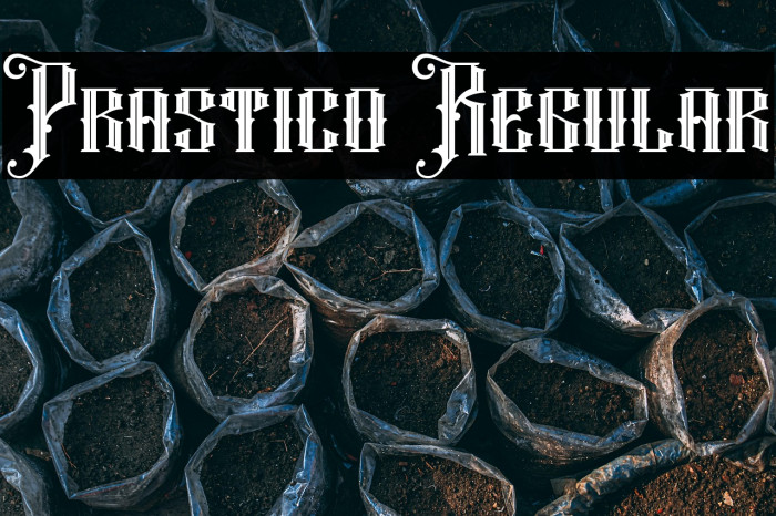 Prastico Regular Example 1