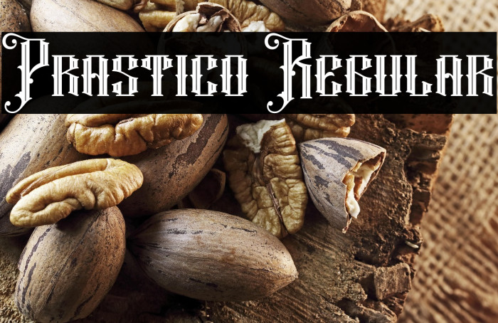 Prastico Regular Example 2