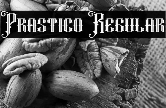 Prastico Regular Font examples