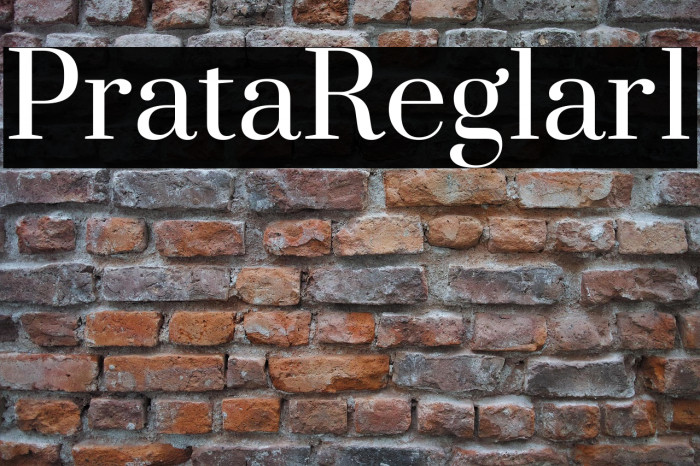 Prata Regular1 Example 1