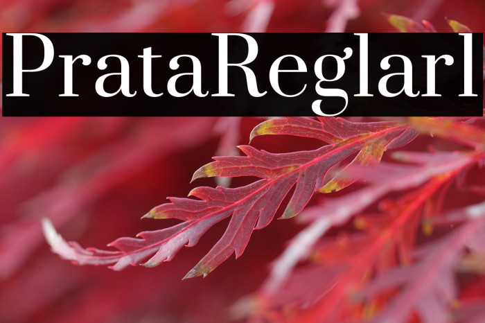 Prata Regular1 Example 2