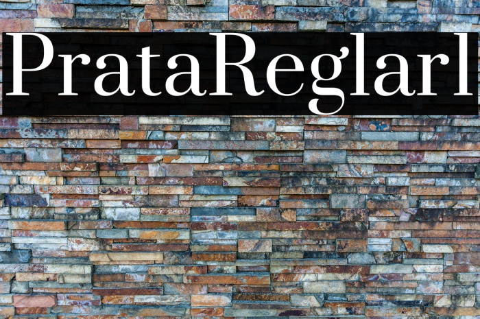 Prata Regular1 Example 3