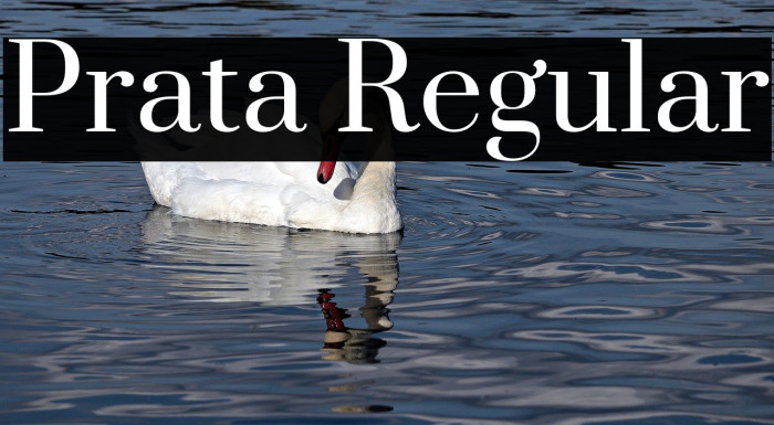Prata Regular Font examples