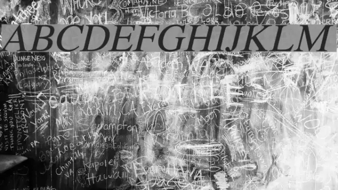 Pravda Italic Font examples