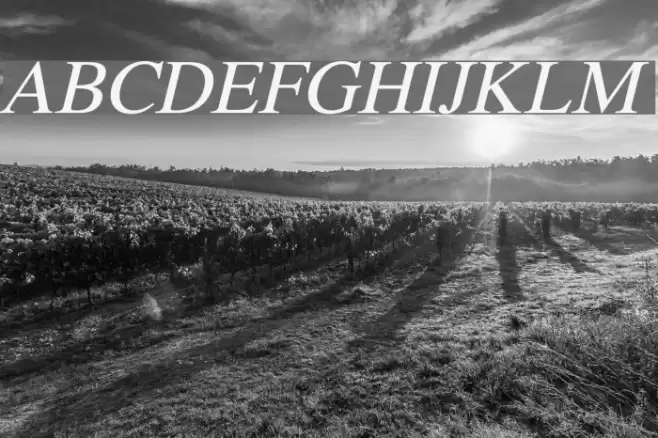 Pravda Italic Font examples