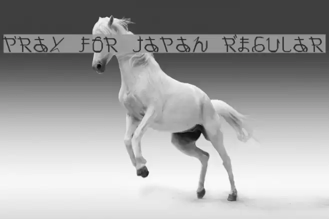 Pray for Japan Regular Font examples