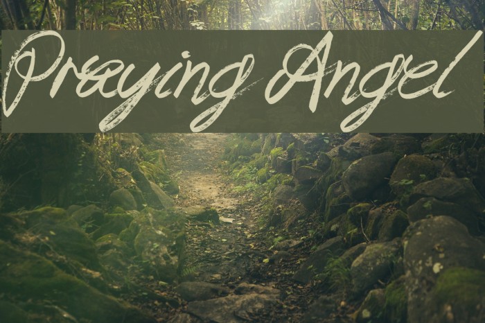 Praying Angel Font examples
