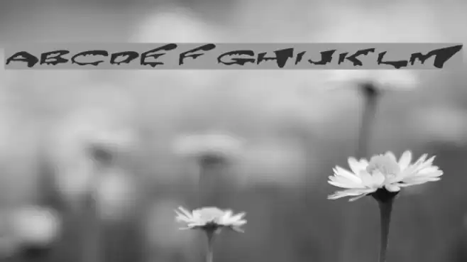 PreCrypt Caratteri examples