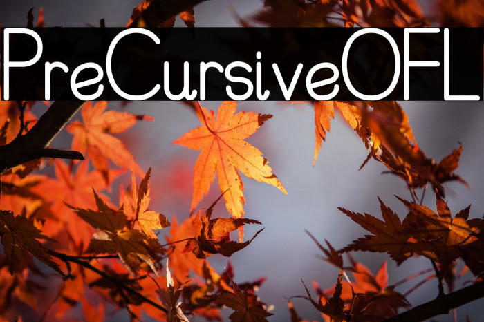 PreCursiveOFL Example 3