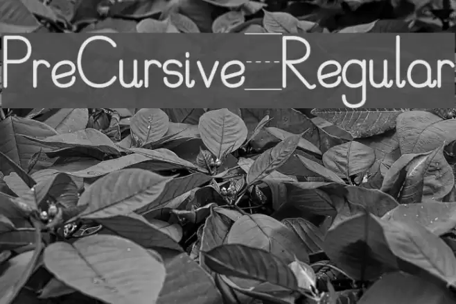 PreCursive_Regular Font examples