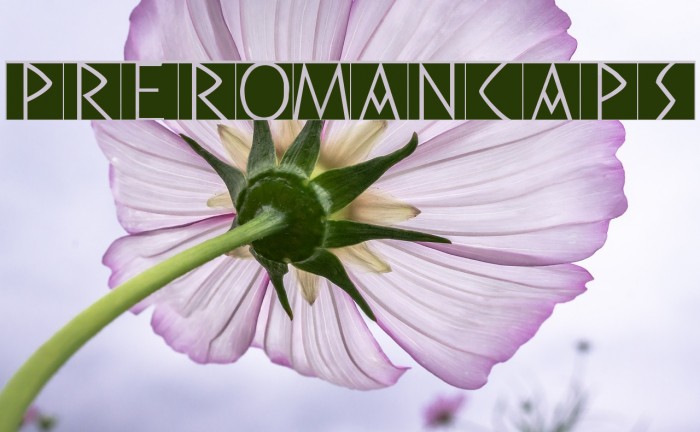 PreRomanCaps Example 1