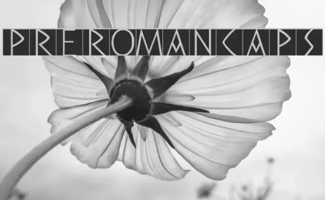 PreRomanCaps Font examples