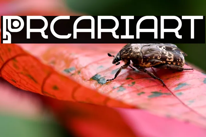 Precariart Example 3