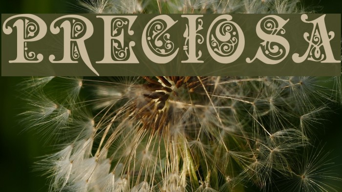 Preciosa Font examples
