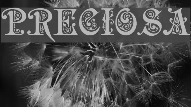 Preciosa Font examples