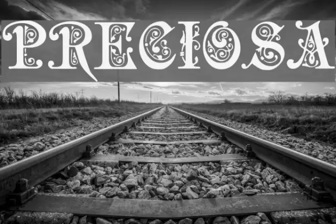 Preciosa Font examples