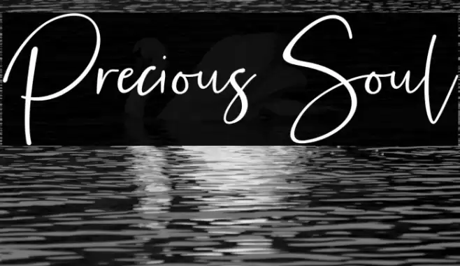 Precious Soul Font examples