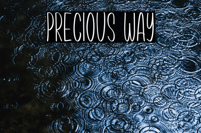 Precious Way Example 2