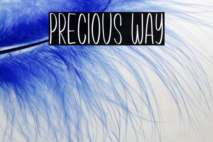 Precious Way Example 3