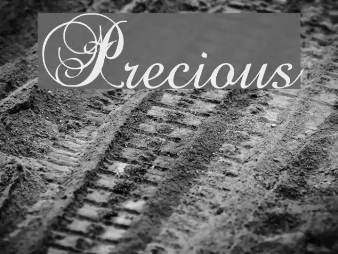 Precious Font examples