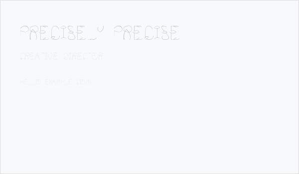 Precisely Precise Business Card