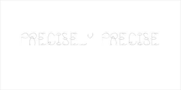 Precisely Precise Logo