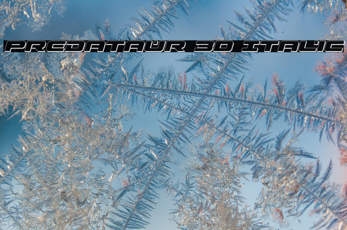 Predataur 3D Italic Example 2