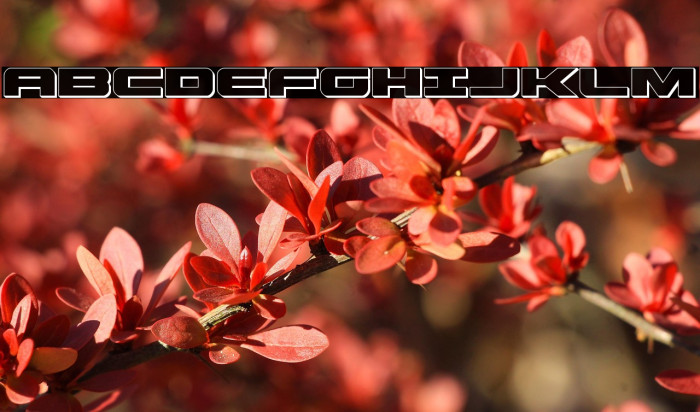 Predataur 3D Example 2