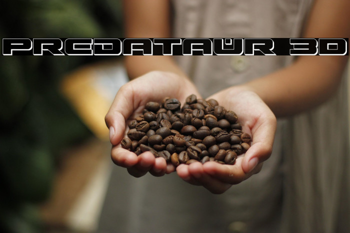 Predataur 3D Example 1