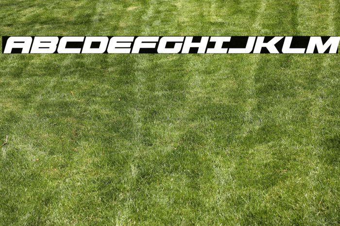 Predataur Condensed Italic Example 2