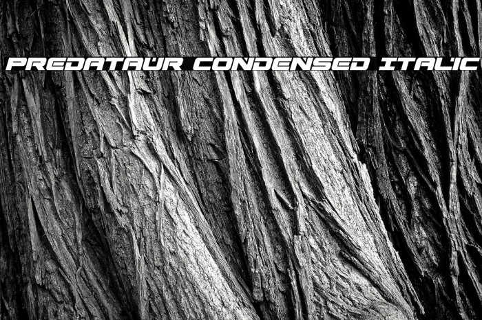 Predataur Condensed Italic Example 1