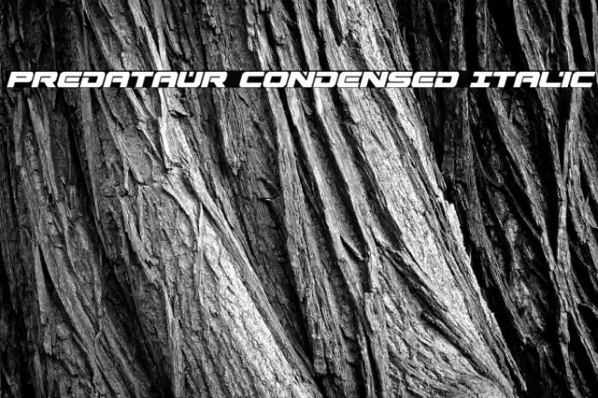 Predataur Condensed Italic Font examples