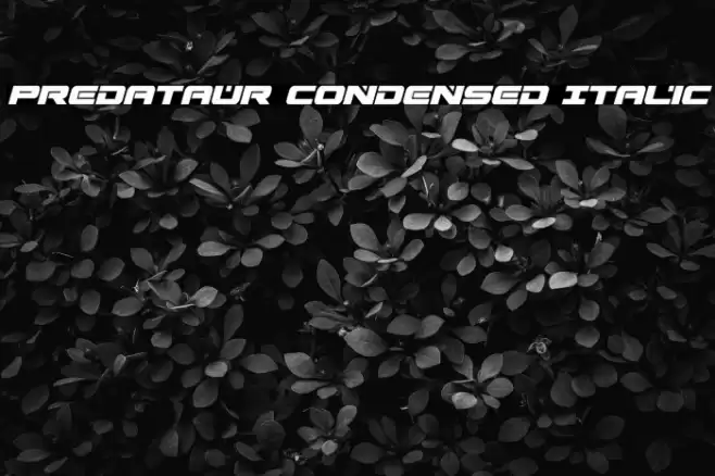 Predataur Condensed Italic Font examples