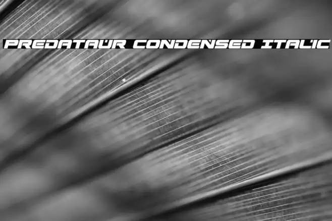 Predataur Condensed Italic Font examples