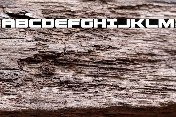 Predataur Condensed Example 3