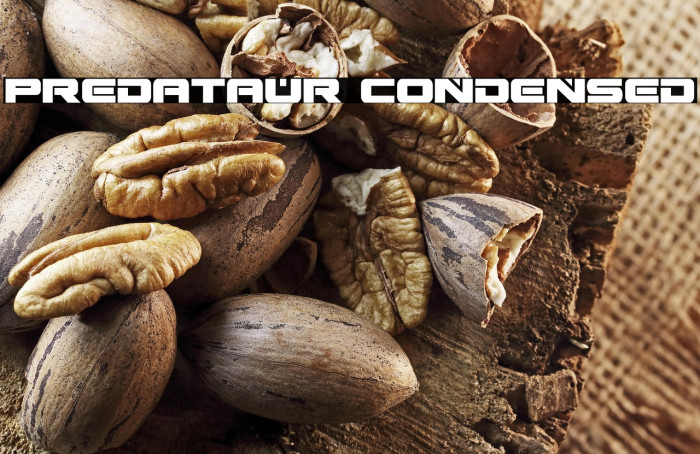 Predataur Condensed Example 1