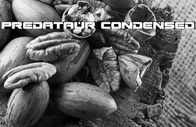 Predataur Condensed Font examples