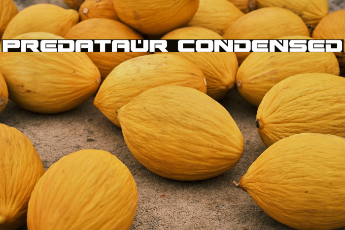 Predataur Condensed Example 3