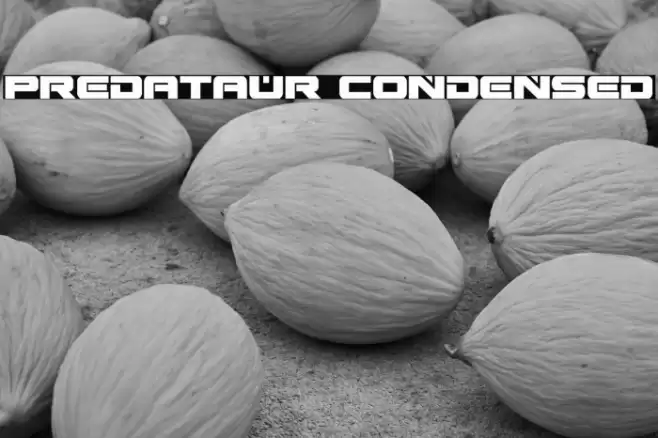 Predataur Condensed Font examples