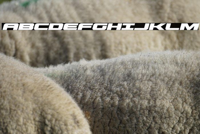 Predataur Expanded Italic Example 2