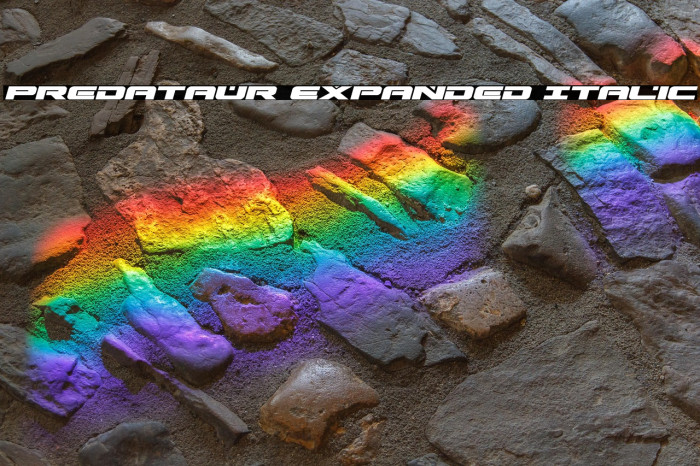 Predataur Expanded Italic Example 1
