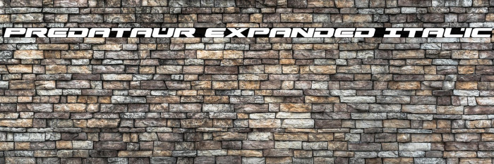 Predataur Expanded Italic Example 2