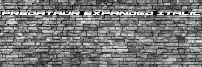 Predataur Expanded Italic Font examples