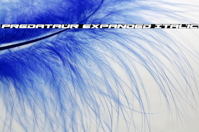 Predataur Expanded Italic Example 3