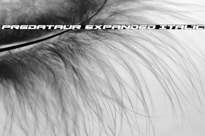Predataur Expanded Italic Font examples