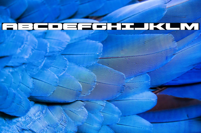 Predataur Expanded Example 3