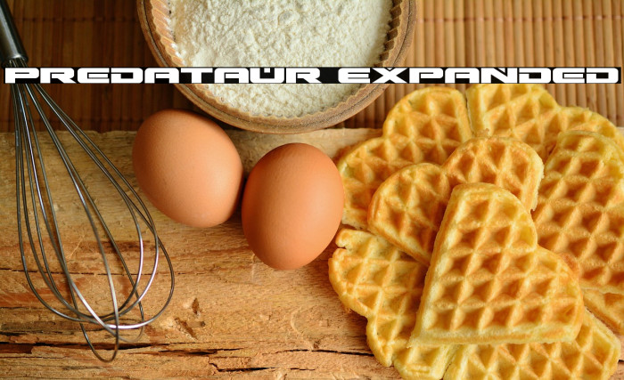 Predataur Expanded Example 1